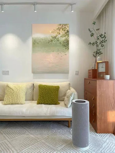 Customer review photo for Wabi-Sabi Wall Art #TX054