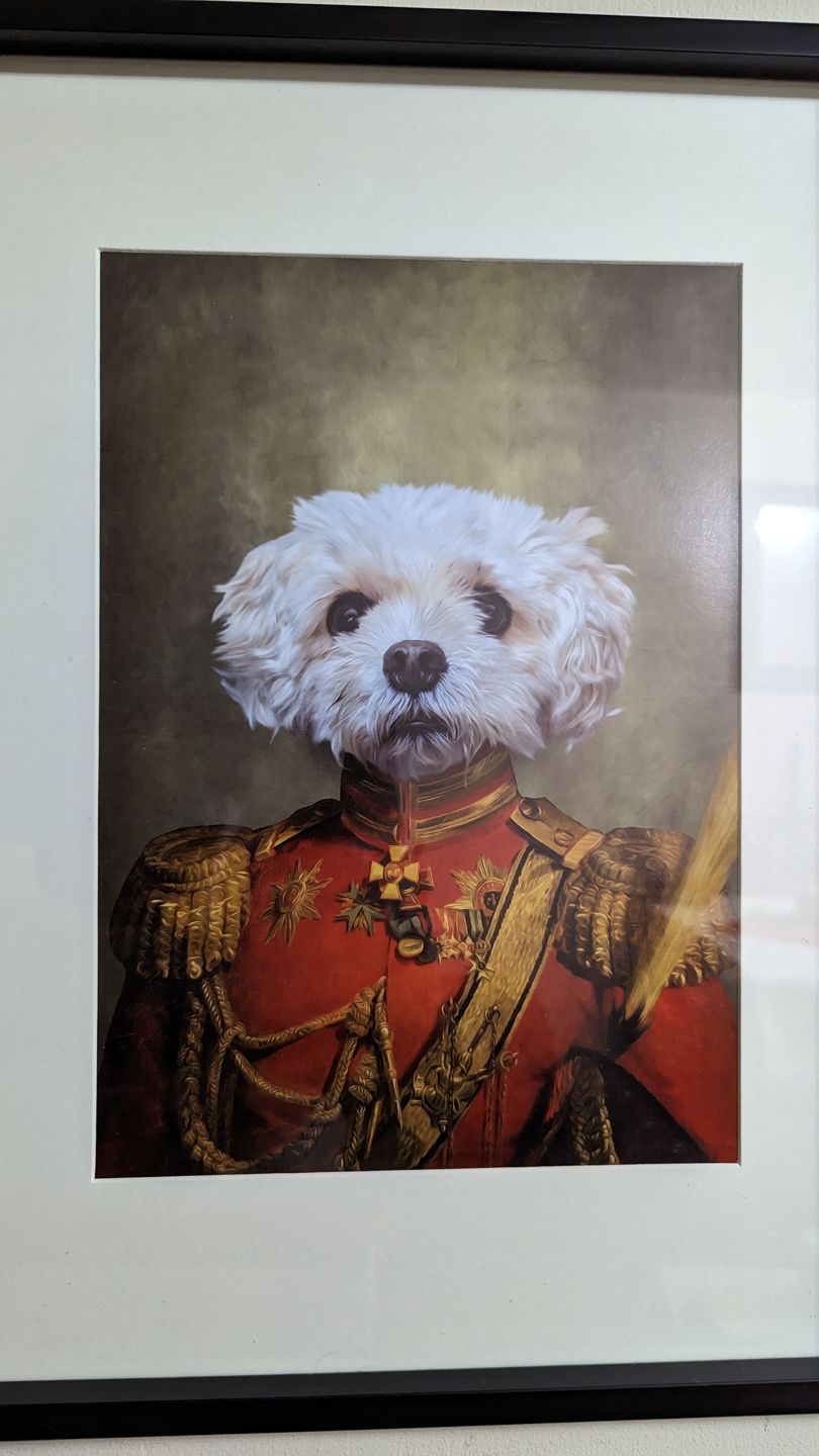 Customer photo review of The Duke: Custom Pet Portrait