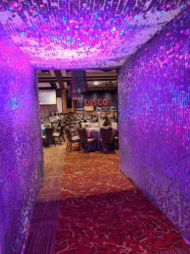 Customer photo review of Fancy Silver Shimmer Wall Panels – Easy Setup Wedding/Event/Theme Party Decorations