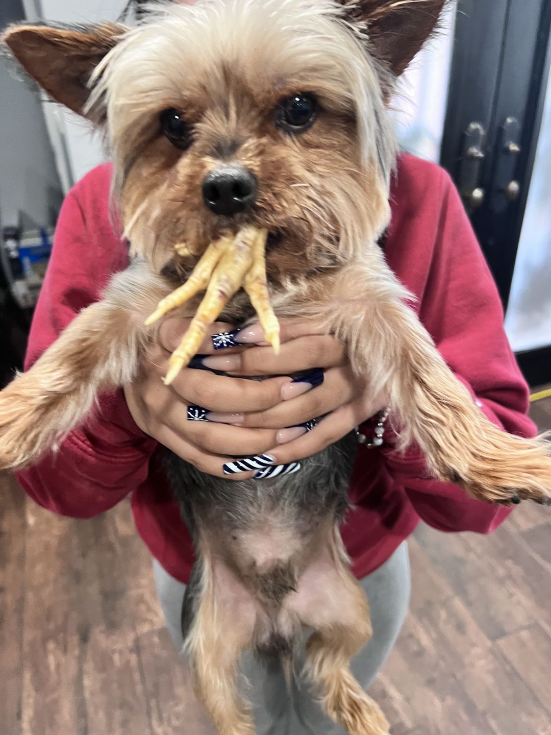 Customer photo review of Chicken Feet