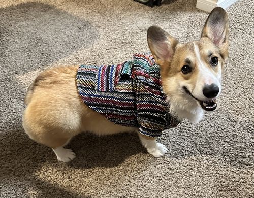 Customer photo review of Playa Poncho - Surprise Color