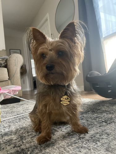 Customer photo review of Mountain Silicone