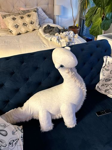 Customer photo review of The Dinosaur