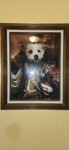 Customer photo review of The Hunter - Custom Vintage Pet Portrait