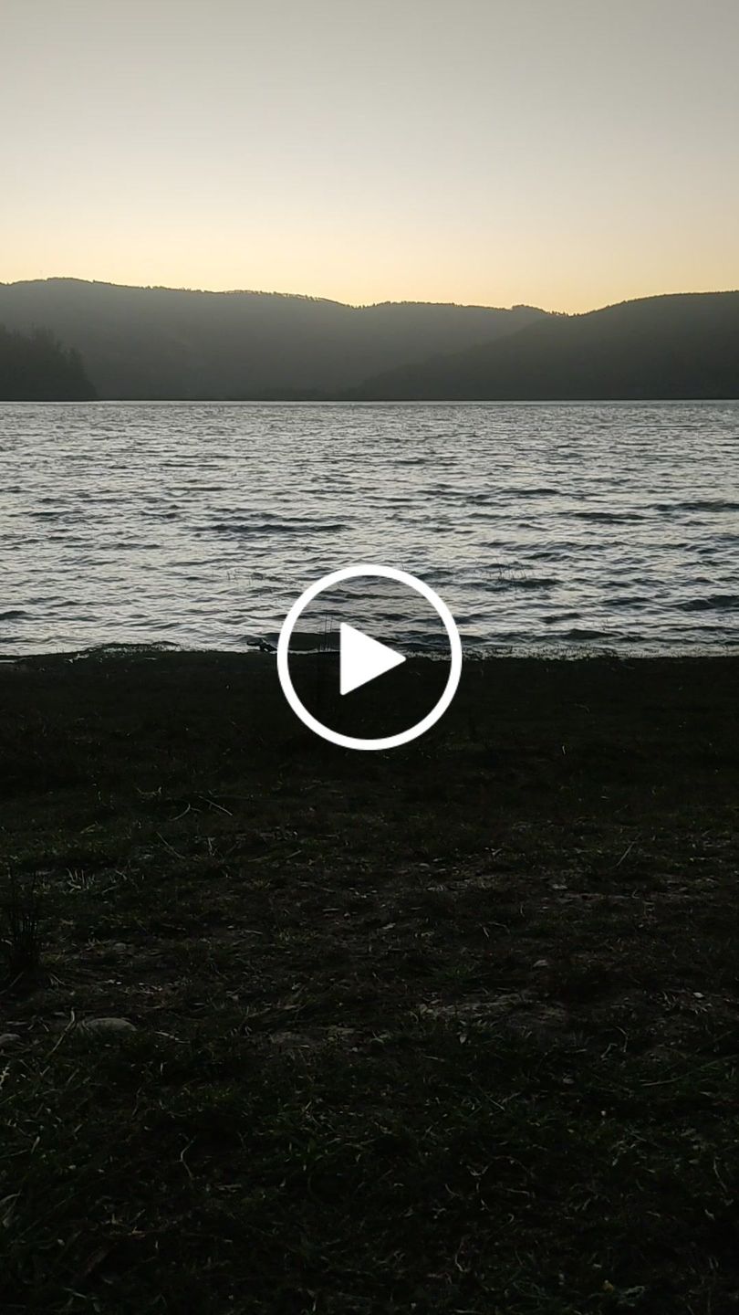 Customer video review of Oolong Durazno