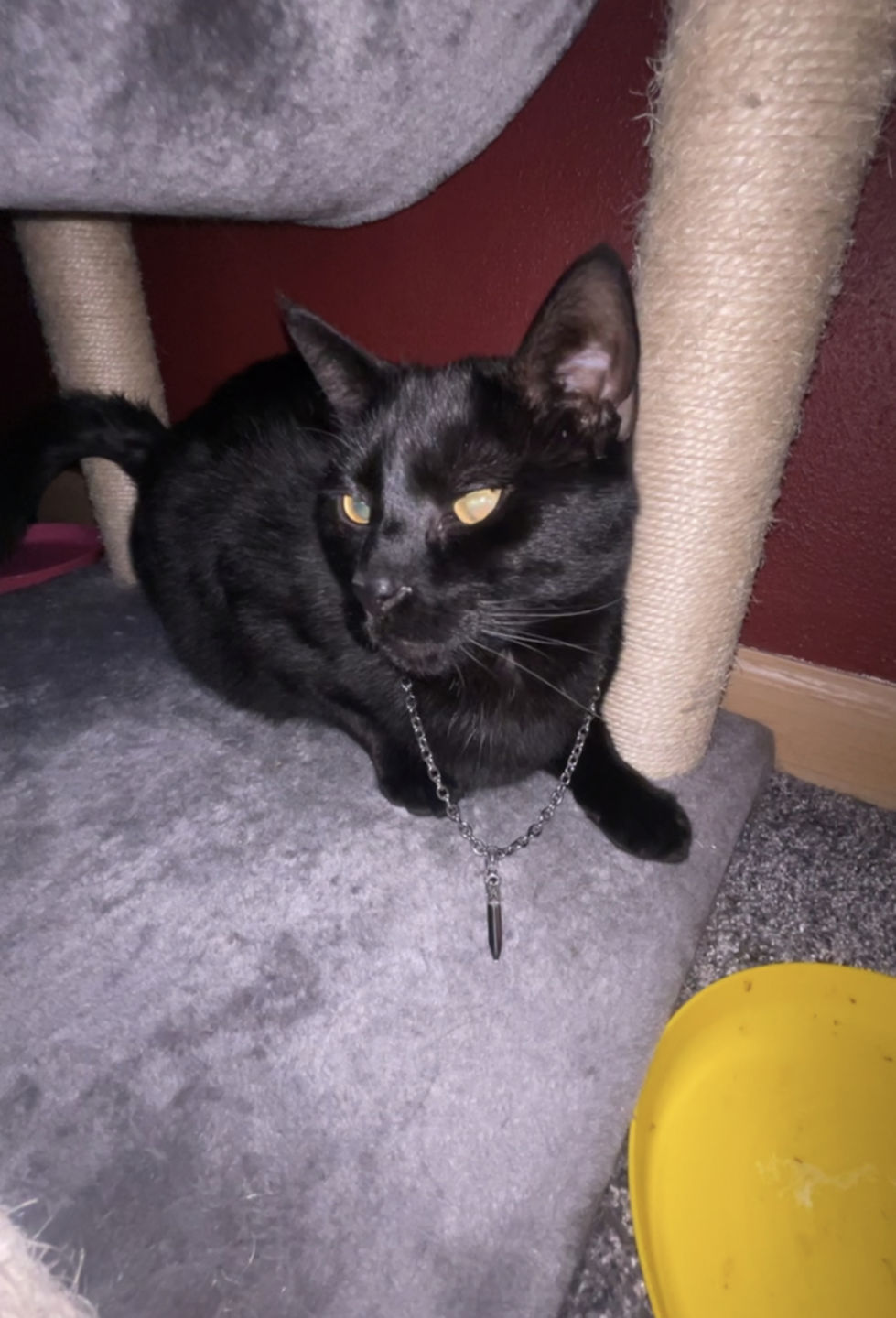 Customer photo review of CATACOMB SWORD PENDANT (NEW)