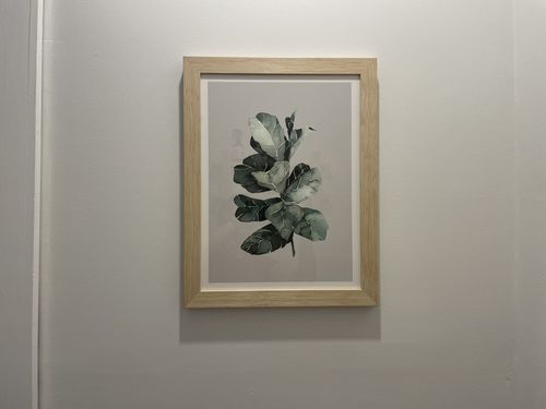 Customer photo review of Fiddle Leaf Fig - CLassic Foliage Print Set One