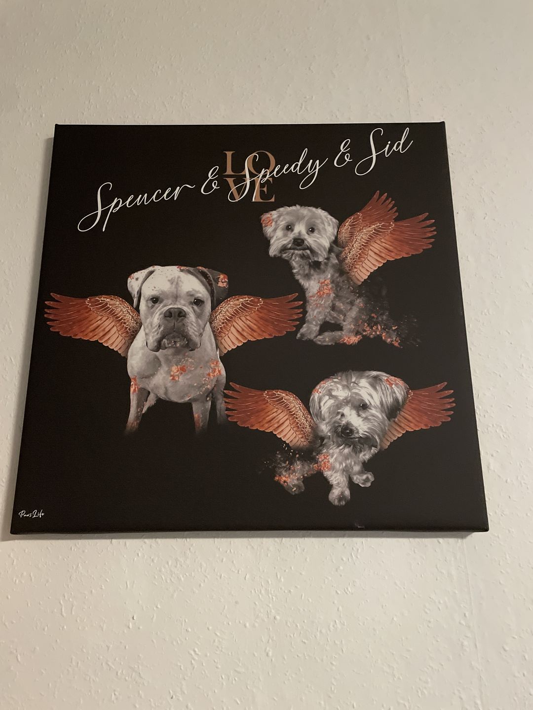 Customer photo review of Personalisiertes Portrait - Diamant Engel Stil