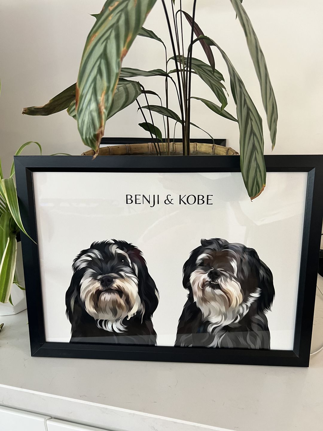 Customer photo review of Two-Pet Portrait