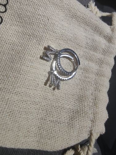 Customer photo review of Landgraf Letter Earring Crystal Bundle
