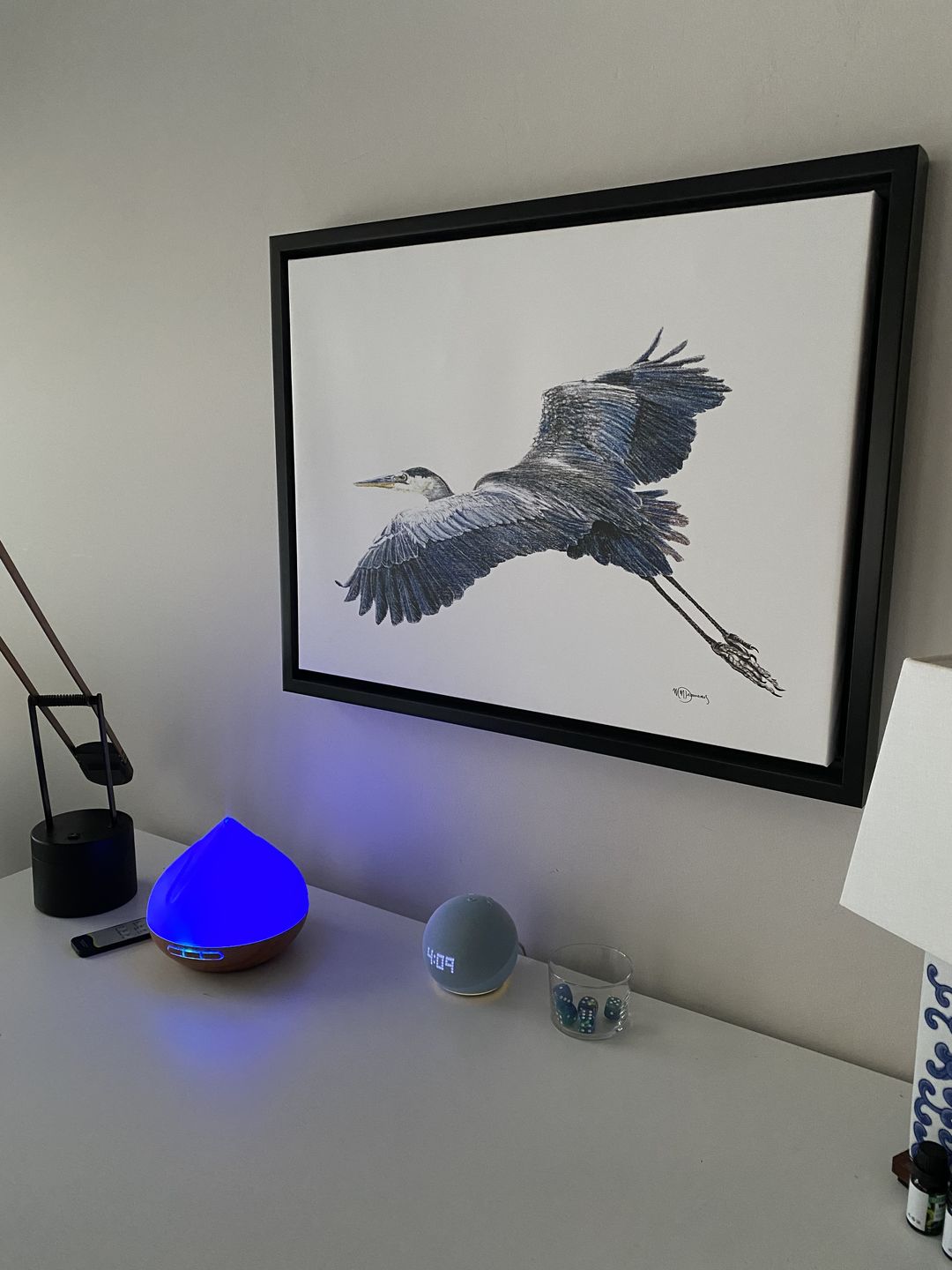Customer photo review of Great Blue Heron - illustration