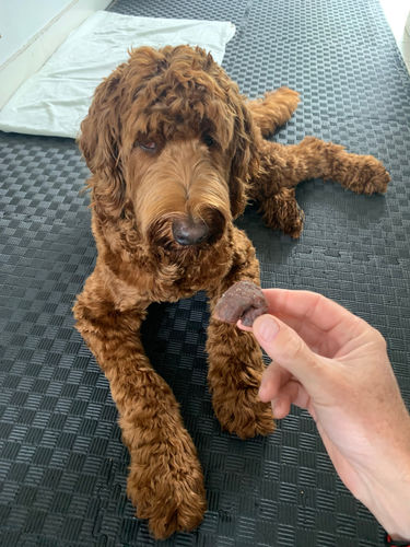 Customer photo review of Sausage Treats- Party Mix! (Combination)