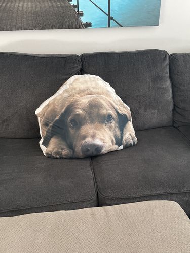 Customer photo review of Create A Custom Anything Pillow