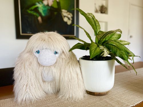 Customer photo review of The Yeti