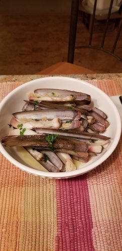 Customer photo review of Live Razor Clams - Long Island