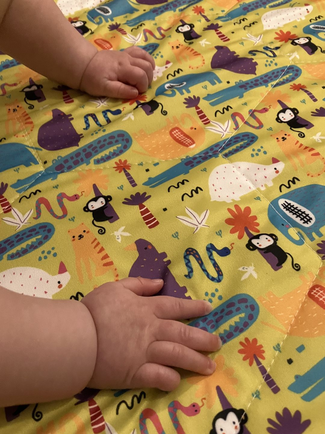 Customer photo review of Basics Patterned Machine Washable Reversible Indoor/Outdoor Quilted Water Resistant Play Mat Blanket