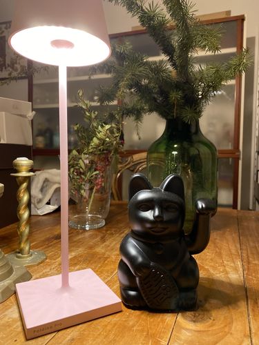 Customer photo review of Maneki Neko