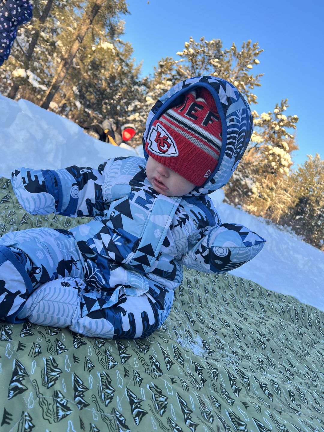 Customer photo review of Patterned Machine Washable Reversible Indoor/Outdoor Quilted Water Resistant Play Mat Blanket