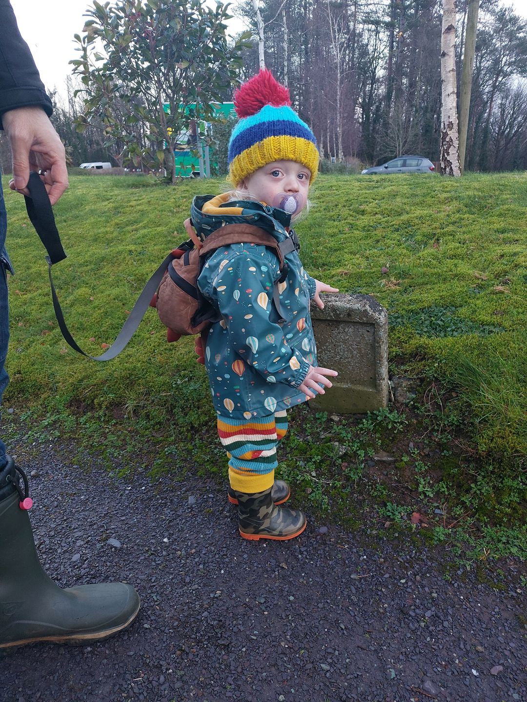 Customer photo review of Rainbow Striped Knitted Joggers