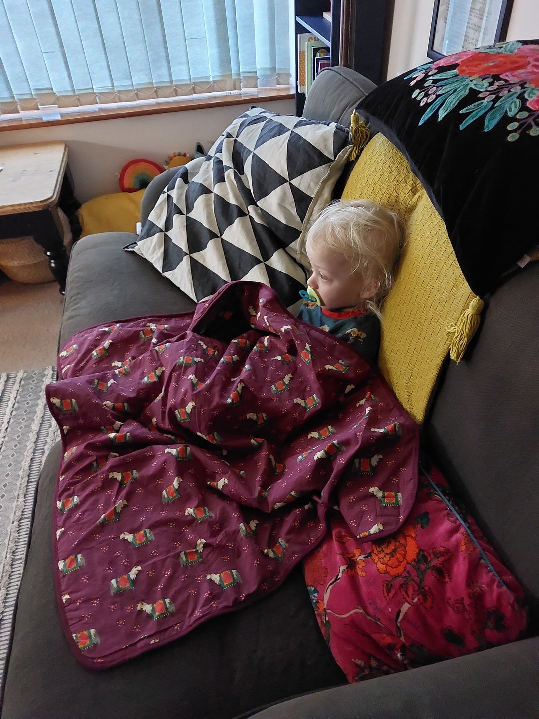 Customer photo review of Nordic Horses Blanket