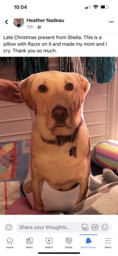 Customer photo review of Create A Custom Dog Pillow