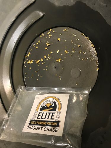 Customer photo review of Elite 'NUGGET CHASE' - Gold Panning Paydirt Concentrate