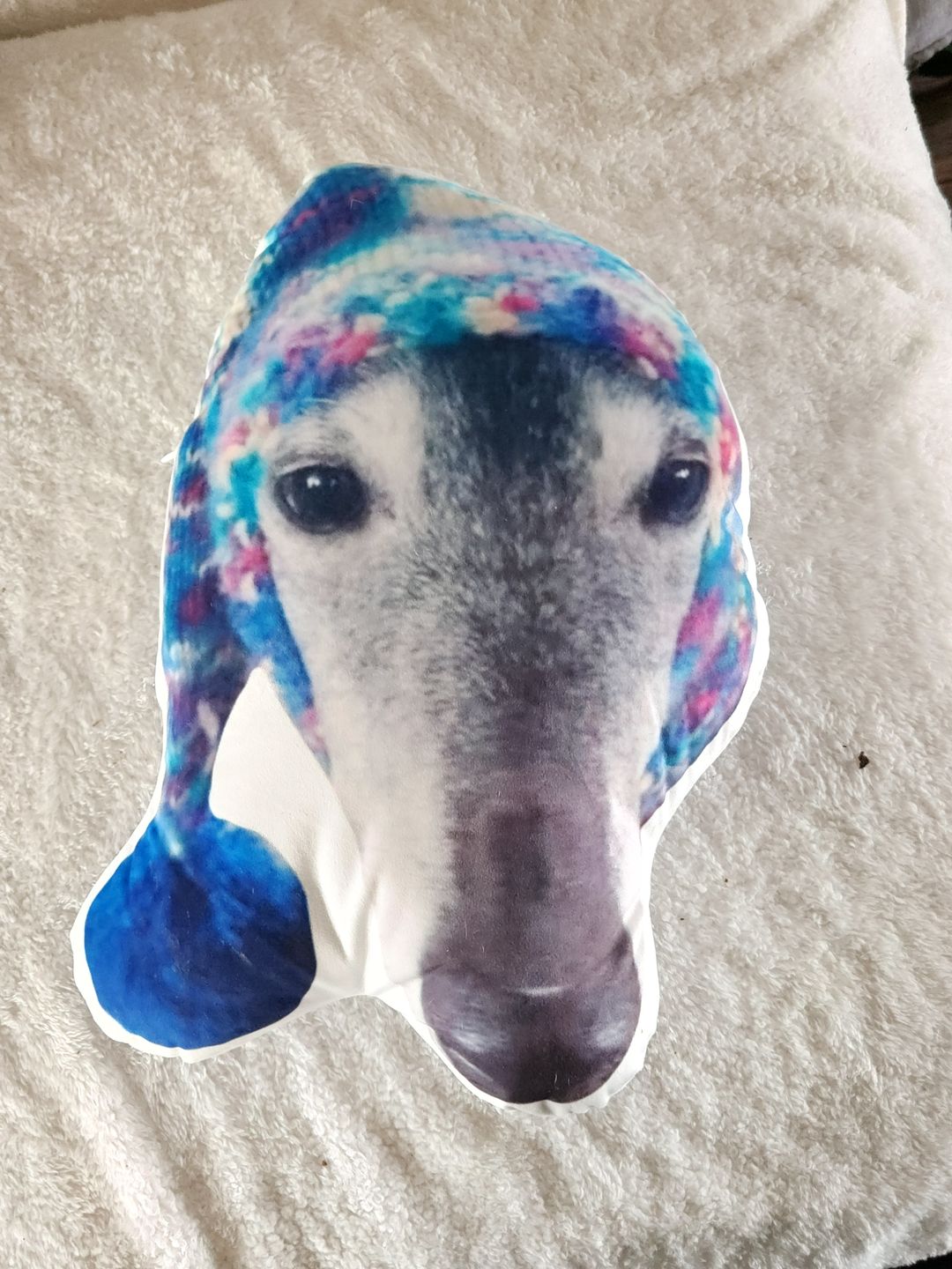 Customer photo review of Custom Pet Face Shaped Pillow from Your Pet Photos, Customized Pet Head Pillows