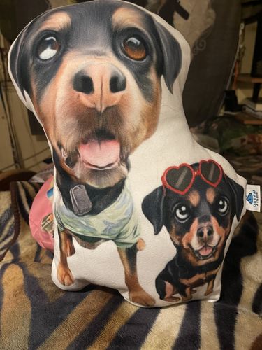 Customer photo review of Create A Custom Dog Pillow