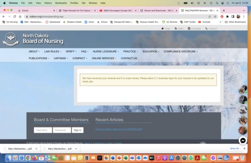 Customer photo review of Custom Pet Placemats