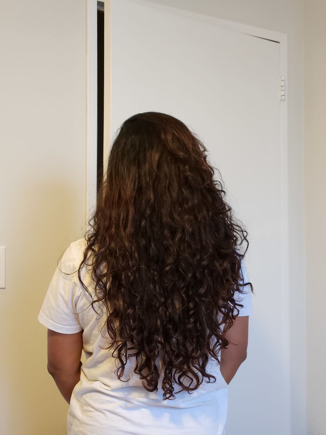 Customer photo review of Laifen Swift Hair Dryer Diffuser