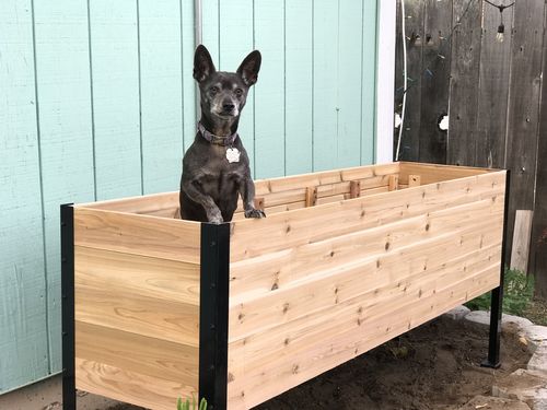 Customer photo review of 18" x 72" Raised Garden Bed