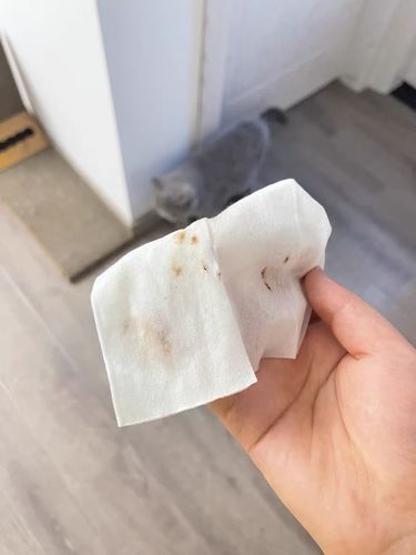 Customer photo review of Michu Cotton Bubble Cat/Dog Wipes 80pc Pack