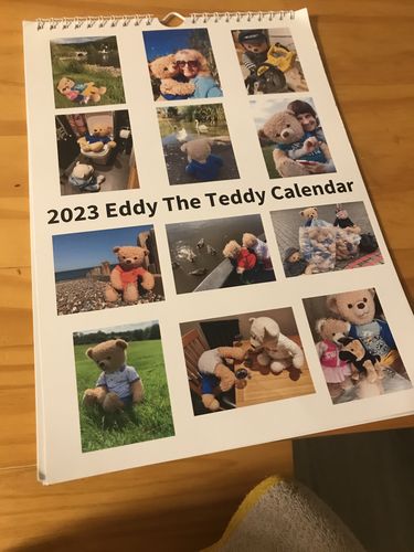 Customer photo review of 2023 Eddy the Teddy calendar