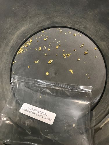 Customer photo review of Nugget Reserve 'MUSEUM SPECIMEN CHASE' - Gold Panning Paydirt Concentrate