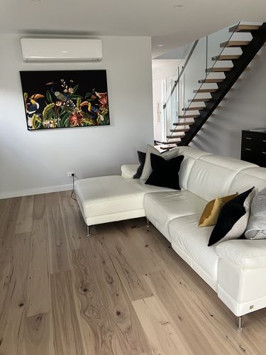 Customer photo review of Birds of the Forest