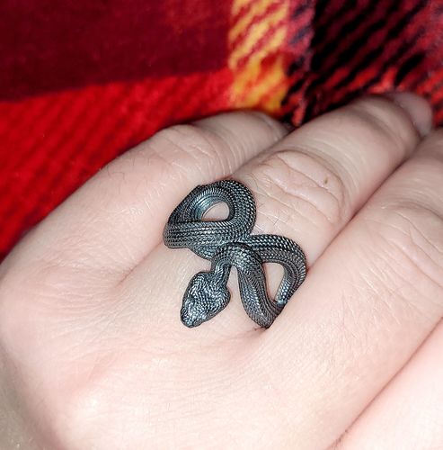 Customer photo review of Snake Ring