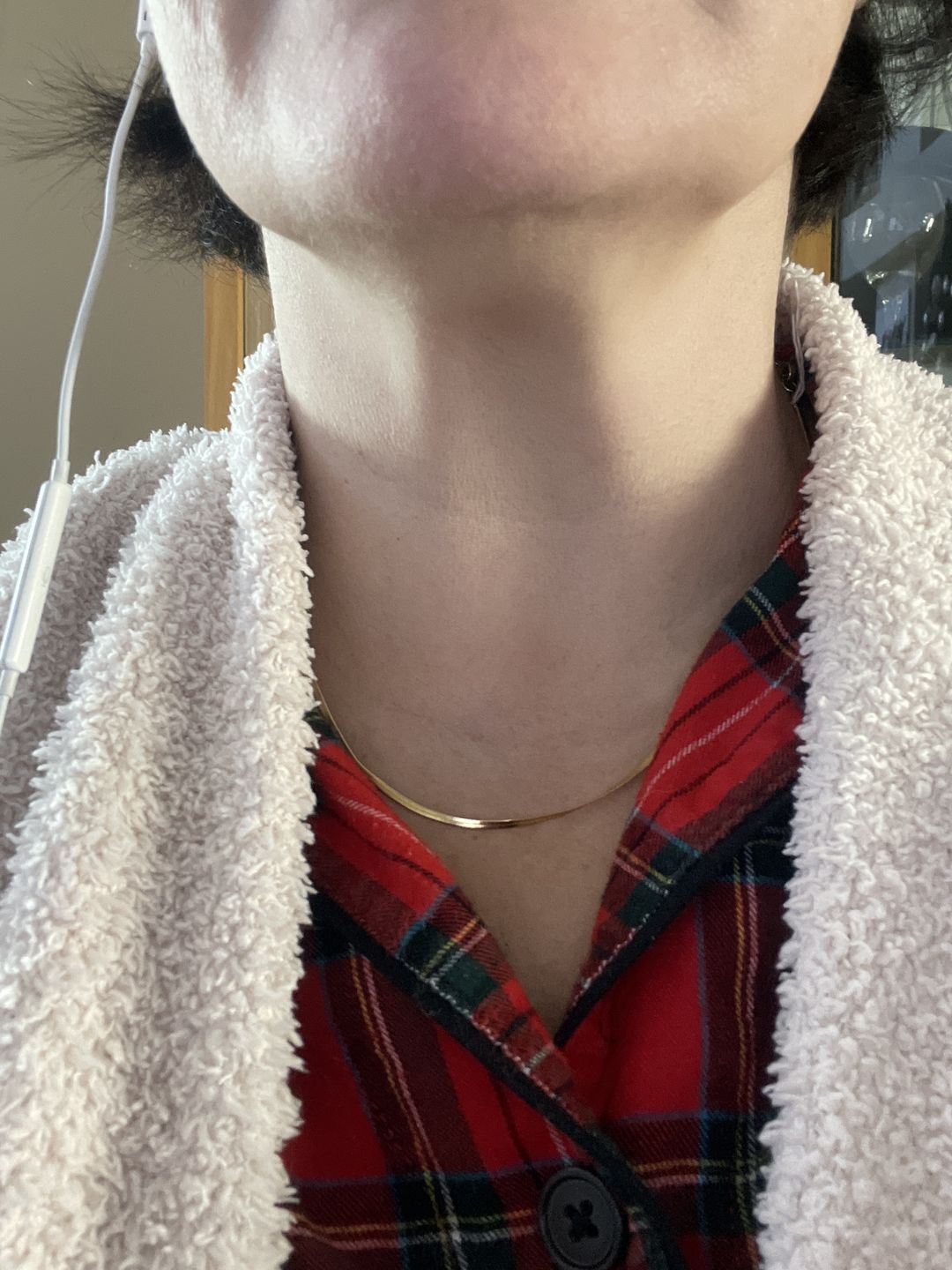 Customer photo review of Fine Essentials Necklace