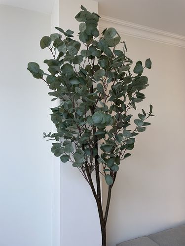 Customer photo review of Eucalyptus Kunstboom 180cm