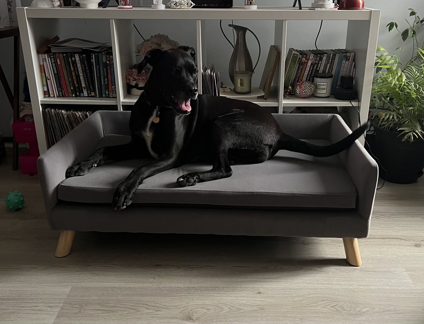 Customer photo review of PaWz Warm Soft Lounge Couch Chair Bed