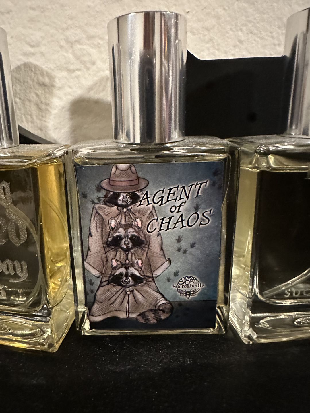 Customer photo review of Agent of Chaos