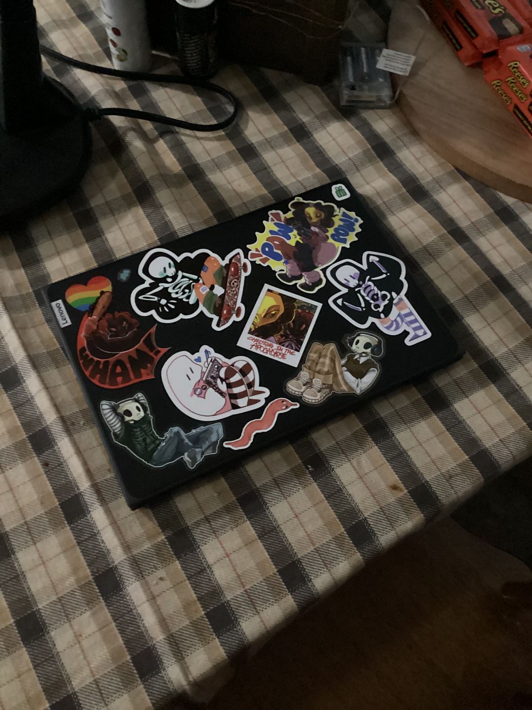 Customer photo review of Aesthetic Skeleton Stickers