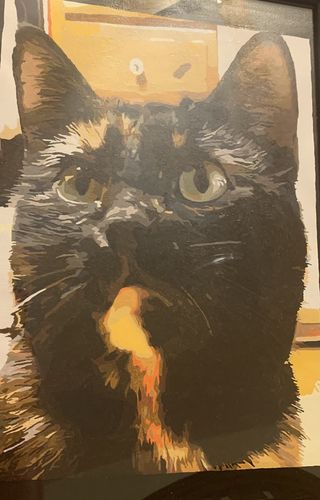 Customer photo review of Custom Paint by Numbers Kit