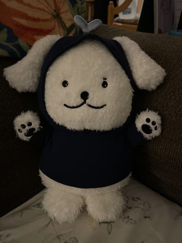 Customer photo review of MONSTA X MINHYUK - MEONGKO Character MD