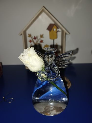 Customer photo review of Mon petit ange gardien