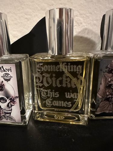 Customer photo review of Something Wicked This Way Comes