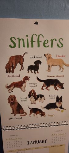 Customer photo review of 2023 'For The Pun Of It' Cheeky Wall Calendar