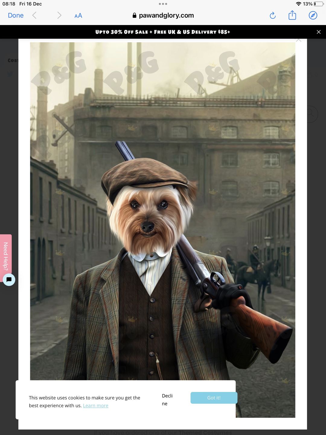 Customer photo review of The Thug (Peaky Blinders Inspired): Custom Pet Portrait