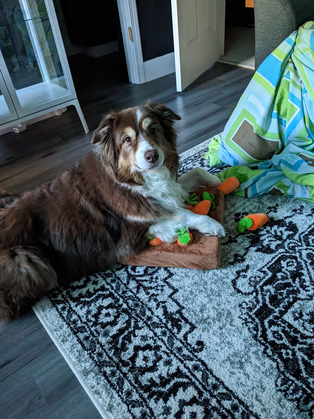 Customer photo review of Carrot Farm