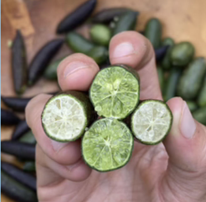 Customer photo review of Caviar Lime (Finger Lime) Box