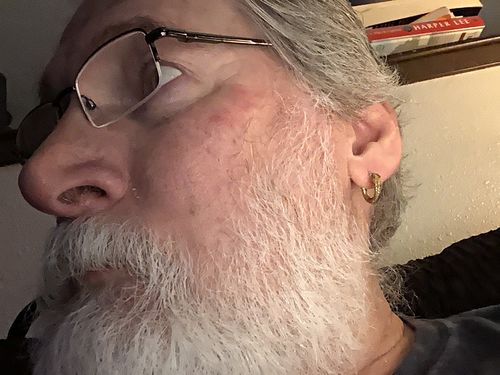 Customer photo review of Ouroboros Earrings